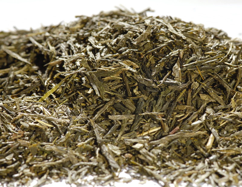 Japan Sencha Makoto - Feinherb, leicht würzig